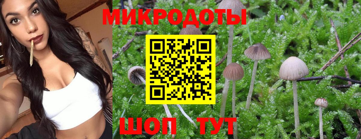 Псилоцибиновые грибы прущие грибы Зеленодольск