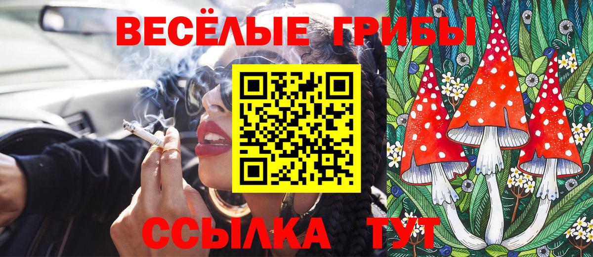 Псилоцибиновые грибы ЛСД  Вход с VPN  Псилоцибиновые грибы прущие грибы  Зеленодольск 
